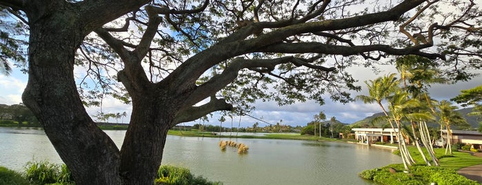 Kauai Lagoons Golf Club is one of Beauty.