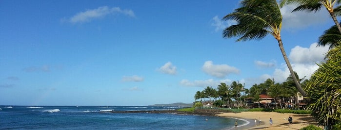 Poipu Beach is one of Lugares favoritos de Mike.