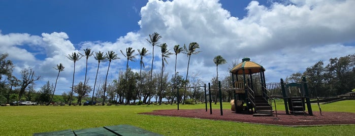 Hanama'ulu Beach is one of Kauai.