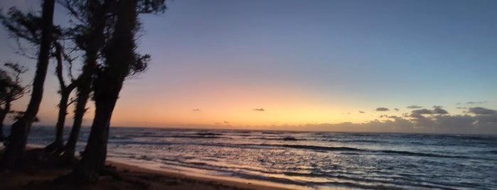 Baby Beach is one of Kauai.