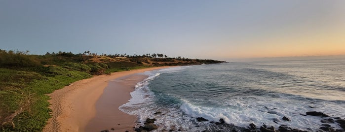 Donkey Beach is one of E 님이 좋아한 장소.