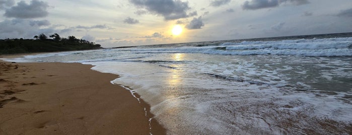 Kealia Beach is one of Kauai 🌸.
