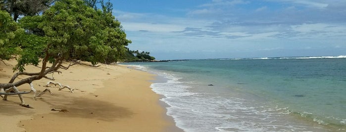 Aliomanu Beach is one of Posti che sono piaciuti a Jess.