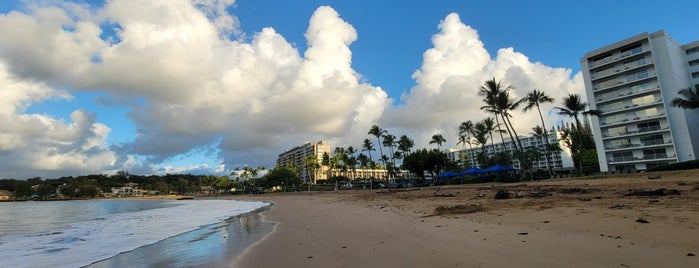 The Royal Sonesta Kaua'i Resort Lihue is one of Lugares favoritos de Chev.