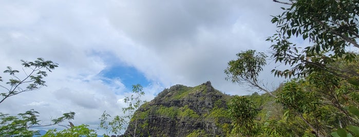 Nounou Mountain Trail East is one of Kauai.