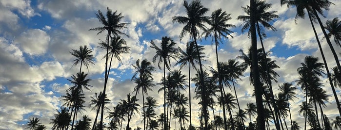 Sheraton Kauai Coconut Beach Resort is one of Marriot Bomboy🏨.