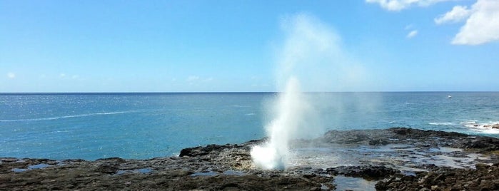 Spouting Horn State Park is one of Hawai'i Essentials.