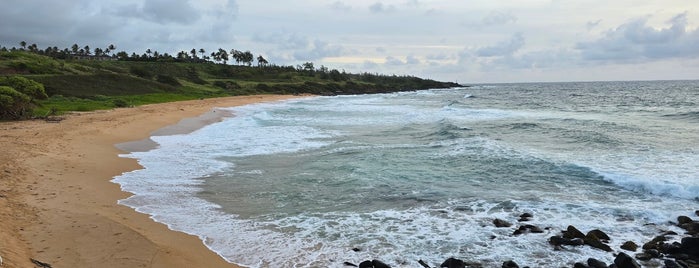 Donkey Beach is one of Kauai.