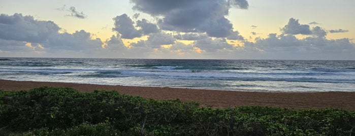 Kealia Beach is one of Kauai 🌸.