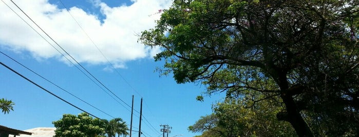 Kokee Road (Hwy 55) is one of สถานที่ที่ Mustafa ถูกใจ.