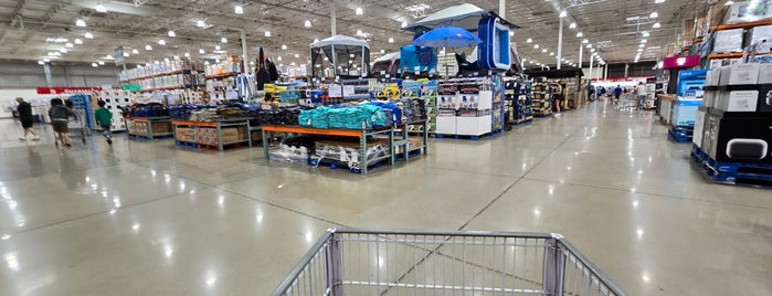 Costco is one of Shopping/Services.