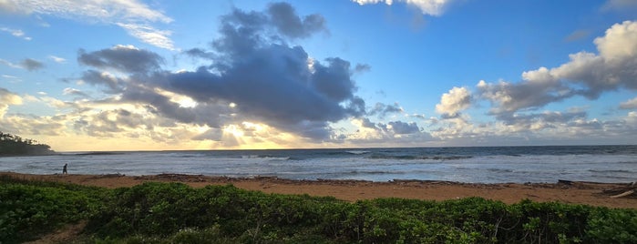 Kealia Beach is one of Kauai To-Do.