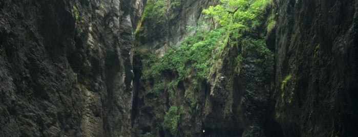 Aareschlucht is one of Lutzkaさんのお気に入りスポット.