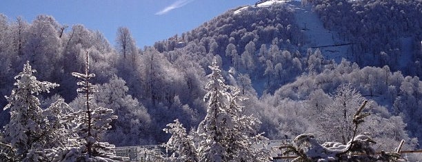 Snow Angel Cafe is one of LMN : понравившиеся места.