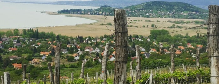 Sandahl Winery is one of Lugares favoritos de Gergely.