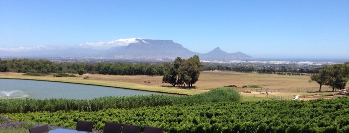 De Grendel Wine Estate is one of Cape Town.