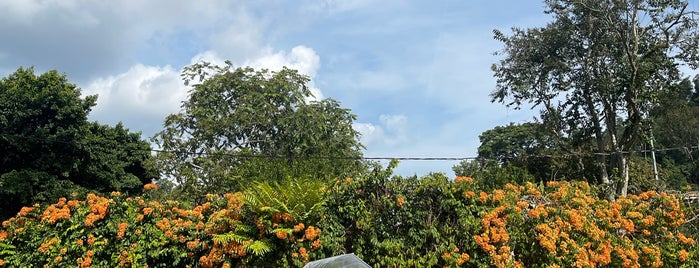 Penang Botanic Gardens 植物園 is one of pad Thai et al.