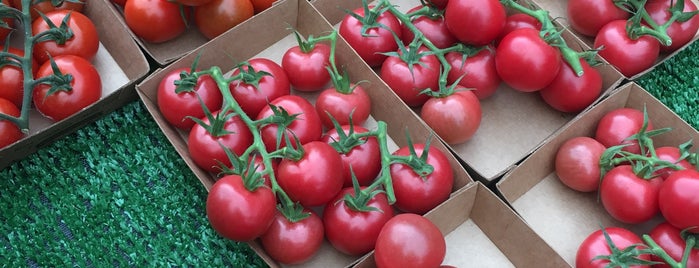 Islington Farmers’ Market is one of LondonTOWN.