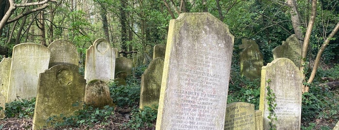 Abney Park Cemetery is one of London ToDo.