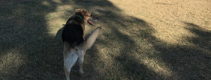 Craig Ranch Regional Park Dog Park And Dog Run is one of The 11 Best Dog Parks in Las Vegas.