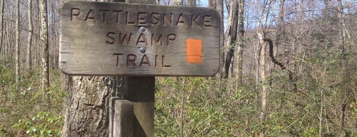 Rattlesnake Swamp Trail is one of Tristate area not NYC.