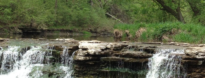 Waterfall Glen Forest Preserve is one of Stacy 님이 저장한 장소.