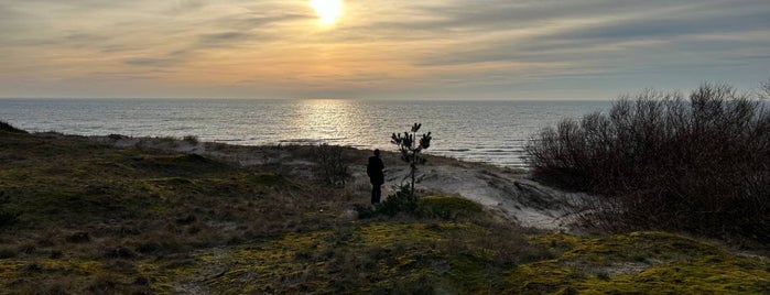 Smiltynės paplūdimys is one of intmainvoid's Baltics.