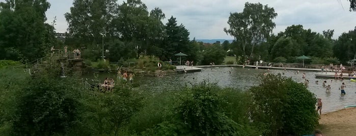 Naturerlebnisbad Niestetal is one of Schwimmbad.