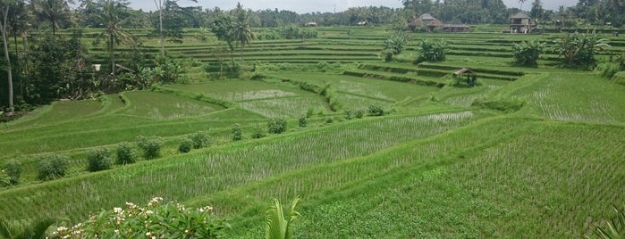 Campuhan Ridge Walk is one of Indonesia.