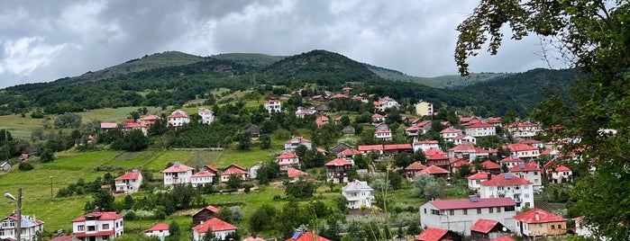 Yeşilce Demli Çay Evi is one of gidilecek yerler.