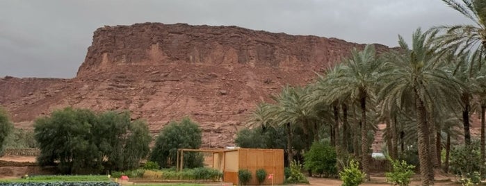 Cultural Oasis is one of Al ula.