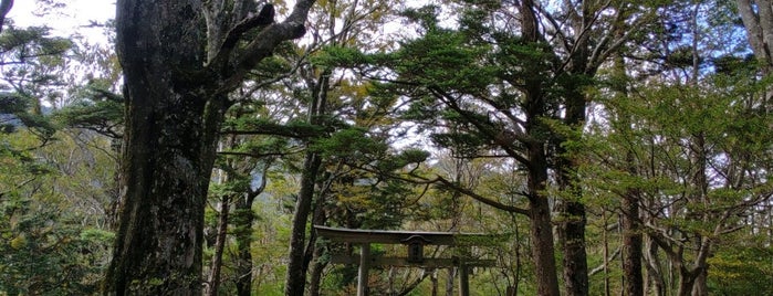 遥拝の鳥居 is one of 西日本最高峰 神さんの山、石鎚山に登ろう！.