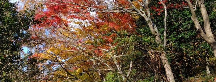 有馬温泉癒しの森 is one of お気に入り.