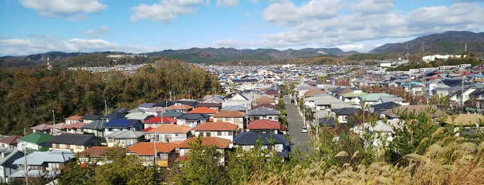 史跡 芝谷古墳 is one of 大阪の史跡.