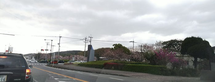 深井交差点 is one of 道路.