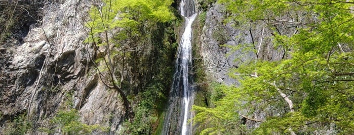 絹掛の滝 is one of 行ったけどチェックインしていない場所.