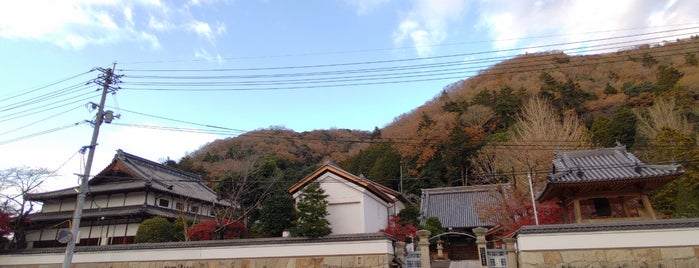 龍華山 妙覚寺 is one of 本山.