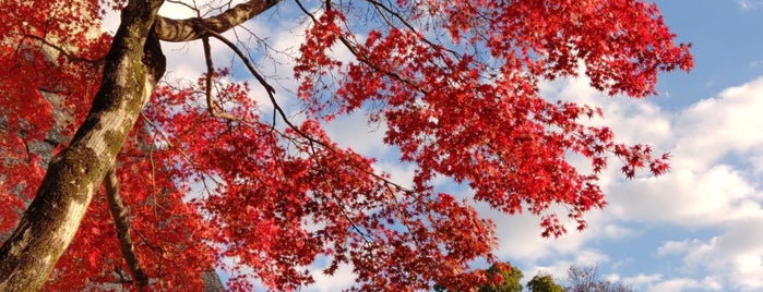 烏城公園 is one of 公園　岡山市.