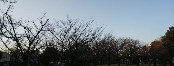 浜戎公園 is one of 公園.