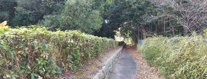 安康天皇 菅原伏見西陵（古城1号墳） is one of 西日本の古墳 Acient Tombs in Western Japan.