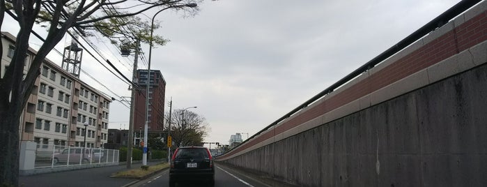 西海岸一丁目交差点 is one of 道路.