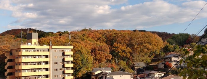 幣立山公園 is one of 公園　岡山市.