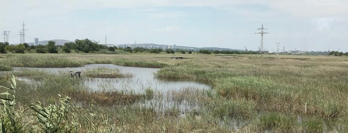 Nature Preserve Poda is one of Black sea, Bulgaria.