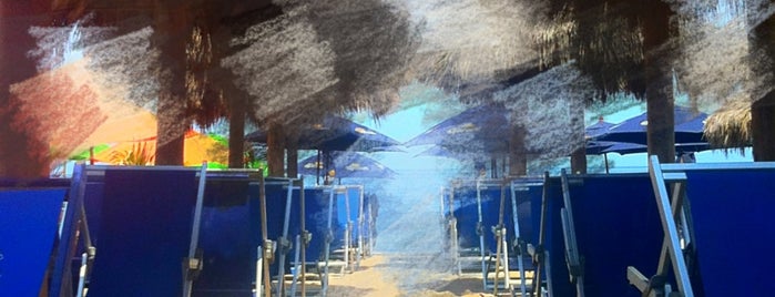 Blue Chairs Beach Resort Hotel is one of Puerto Vallarta.