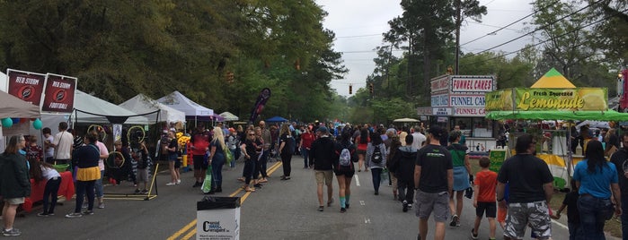 Flowertown Festival is one of Top picks for Other Great Outdoors.