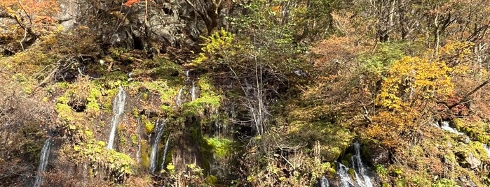 吐竜の滝 is one of Japan.