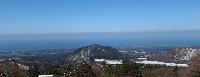 大山国際スキー場 is one of Lieux qui ont plu à Koji.
