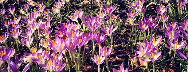 Brooklyn Botanic Garden is one of Brooklyn Favorites.