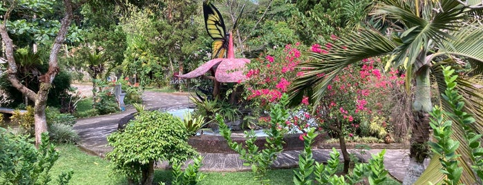 Bali Butterfly Park Taman Kupu - Kupu is one of Bali, Indonesia 2018.