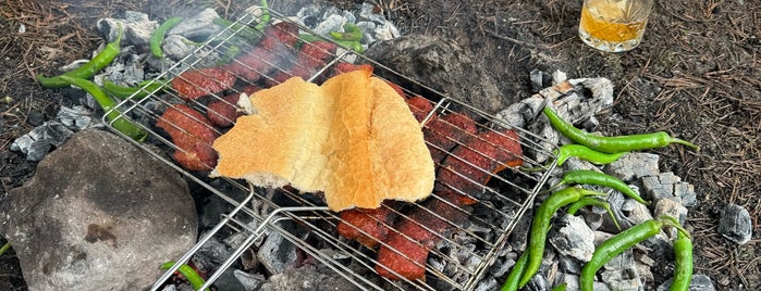 Işık Dağı Karagöl is one of Bushcraft.